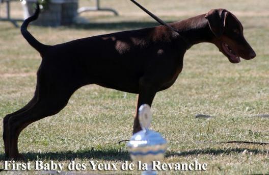 Publication : des Yeux de la Revanche Auteur : les yeux de la revanche