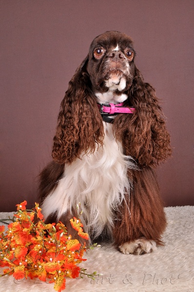 Publication : au regard d'Ange