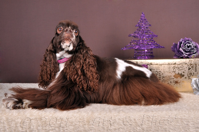 Publication : au regard d'Ange