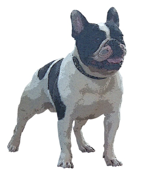 Publication : du domaine des Bouldaé Auteur : Séverine PORTES