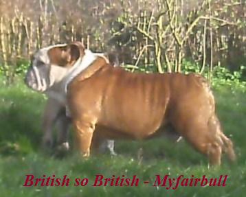 Publication : Myfairbull Auteur : Myfairbull