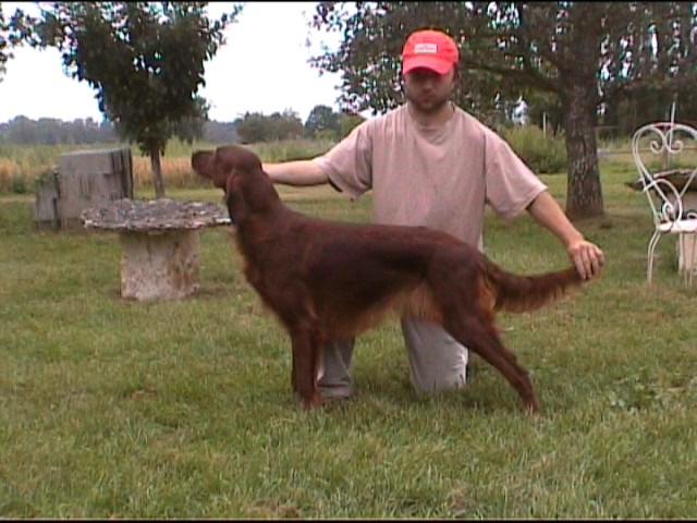 Publication : de Caramels