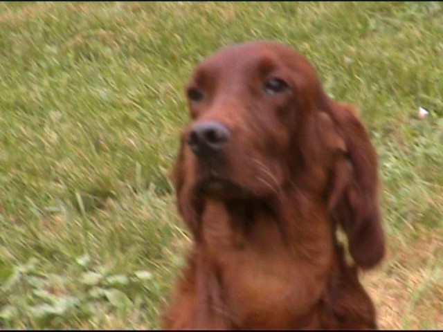 Publication : de Caramels