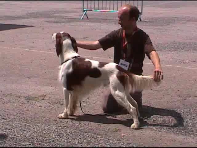 Publication : de Caramels