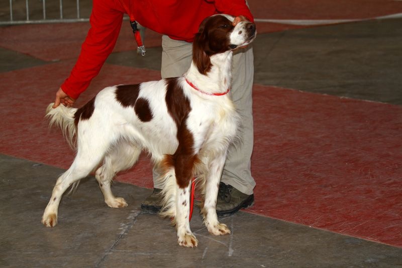 Publication : de Caramels