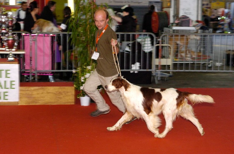 Publication : de Caramels