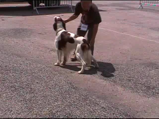 Publication : de Caramels