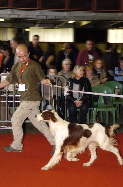 Publication : de Caramels