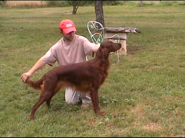 Publication : de Caramels