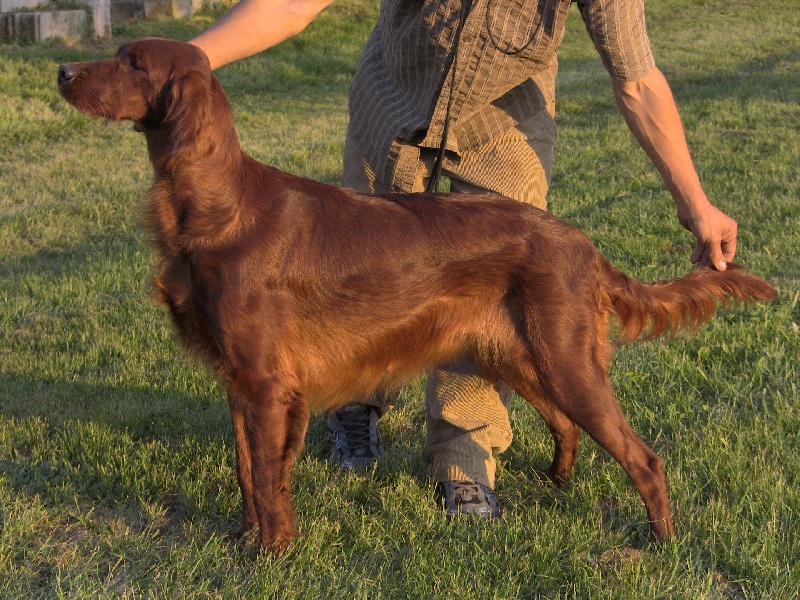 Publication : de Caramels