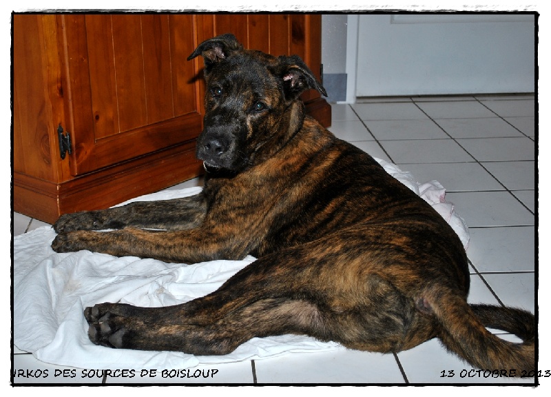 Irkos des sources de Boisloup