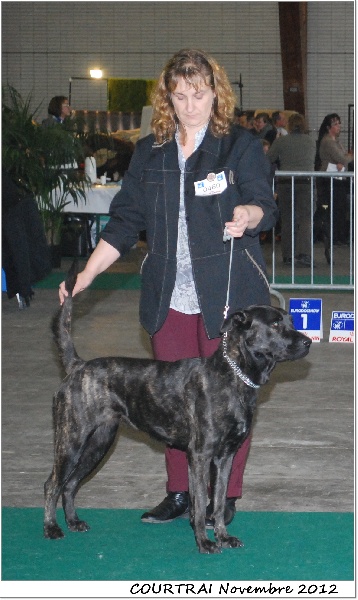 CH. Ghia des gardiens de l atlantique - CAC - CACIB