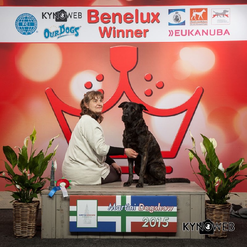 CH. Ghia des gardiens de l atlantique - CAC-CACIB-Meilleure de race BENELUX Winner