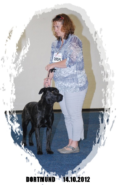 CH. Ghia des gardiens de l atlantique - CAC