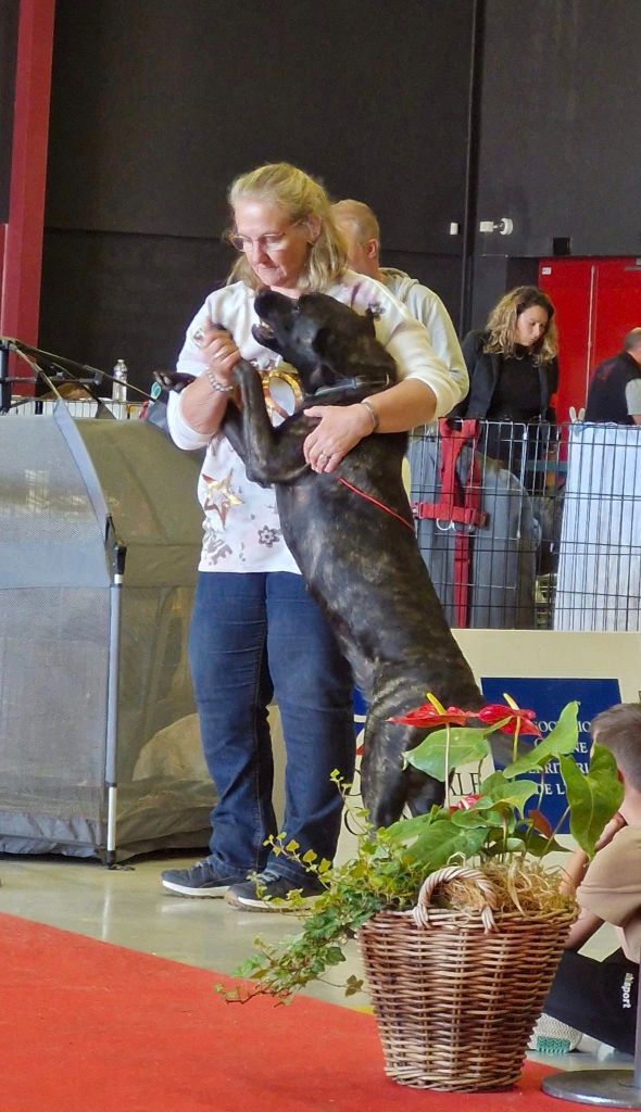 Ulna des sources de Boisloup - Meilleure Jeune du Groupe 2