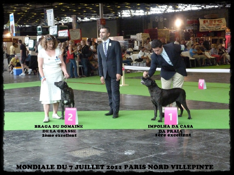 CH. Braga du domaine de la Grasse - 2 ème excellent