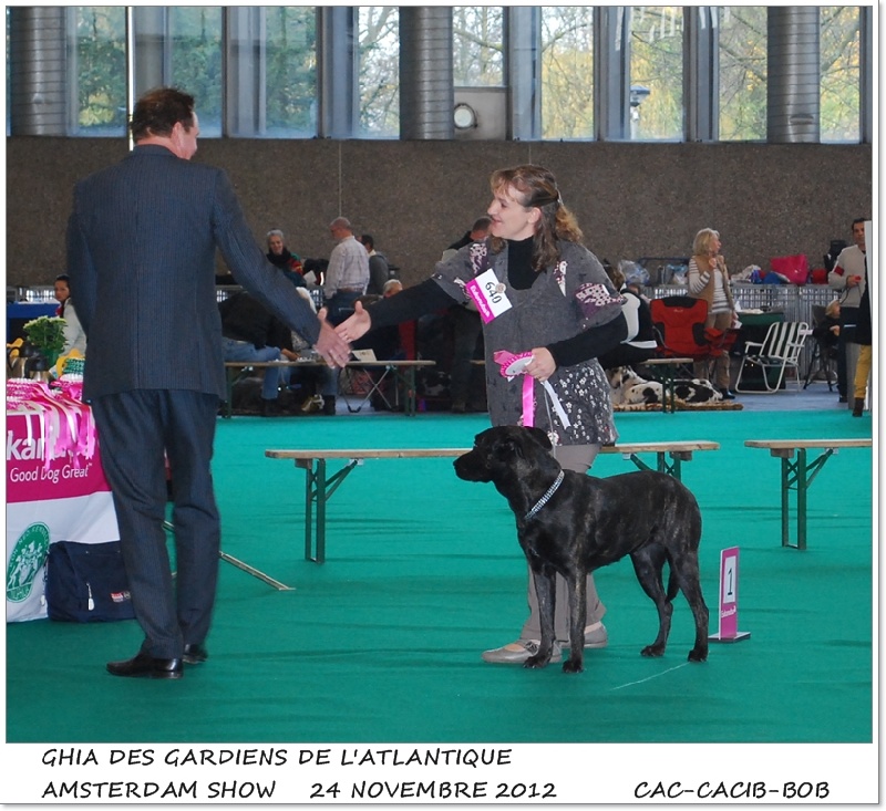 CH. Ghia des gardiens de l atlantique - CAC-CACIB-Meilleure de race