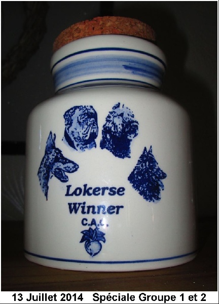 CH. Ghia des gardiens de l atlantique - CAC BOB Winner Lokeren