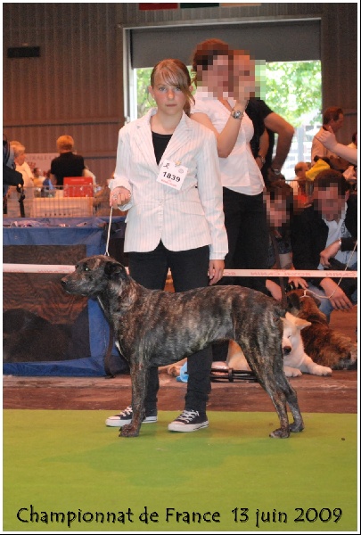 CH. Braga du domaine de la Grasse - excellent