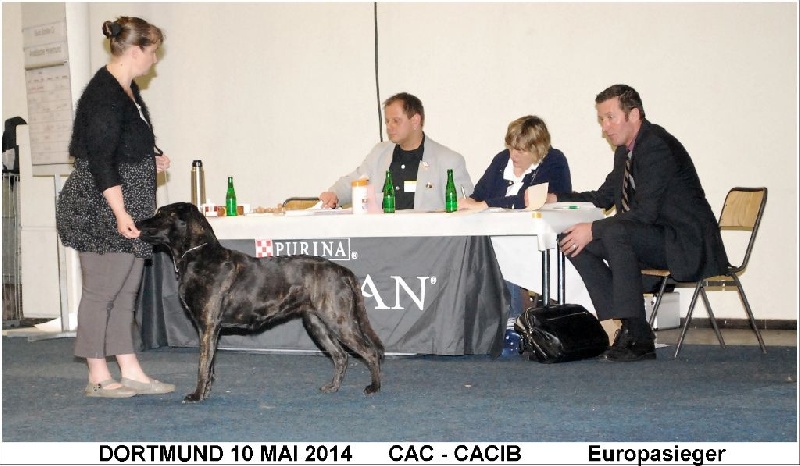 CH. Ghia des gardiens de l atlantique - CAC-CACIB