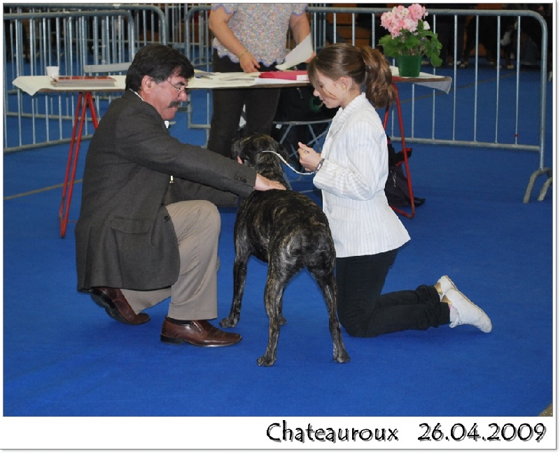 CH. Braga du domaine de la Grasse - CACS Meilleure de race