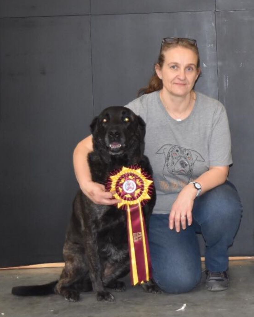 CH. Ghia des gardiens de l atlantique - CACIB Meilleure de race