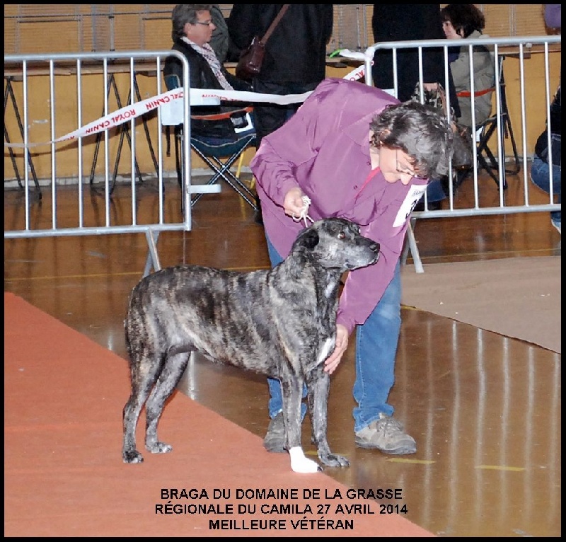 CH. Braga du domaine de la Grasse - excellent meilleure vétéran
