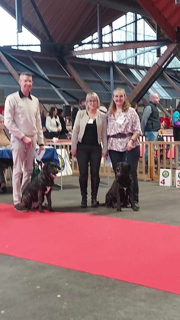 Ulna des sources de Boisloup - très prometteur, meilleur baby