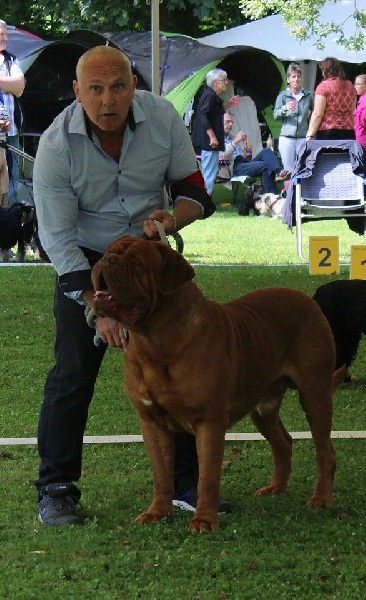 CH. Iron Du Lierre Au Tronc - 2ème Excellent