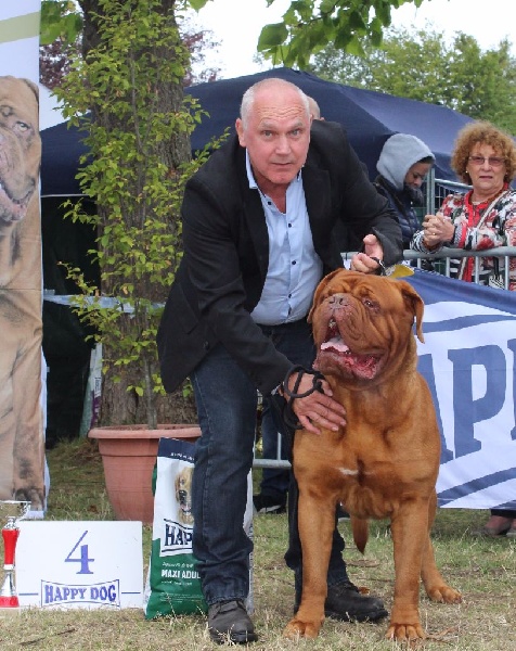 CH. Iron Du Lierre Au Tronc - Ring d'Honneur 4ème Excellent - Champion du Club 2016