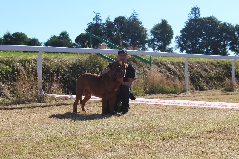 CH. Iron Du Lierre Au Tronc - 1er Excellent - CAC