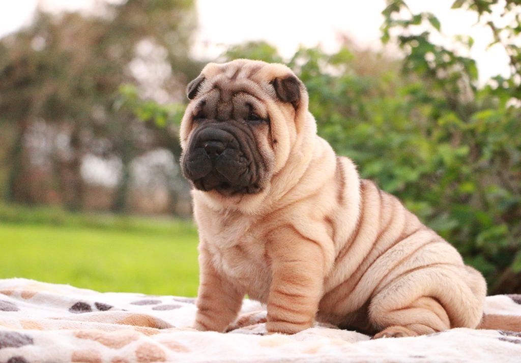 Amie Winston du Grain de Beauté