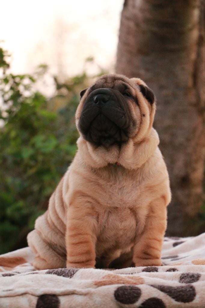 Amie Winston du Grain de Beauté