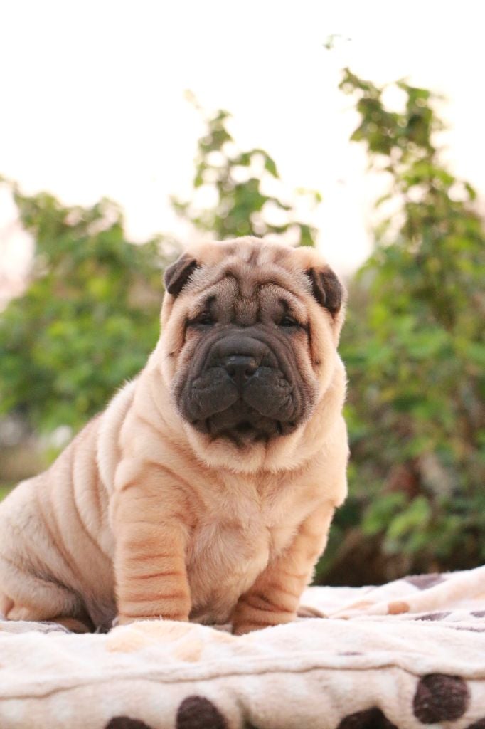 Amie Winston du Grain de Beauté