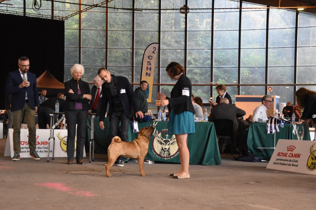 CH. Ti amo du grain de beauté - CPF : 1ère Très Prometteur - Best Puppy
