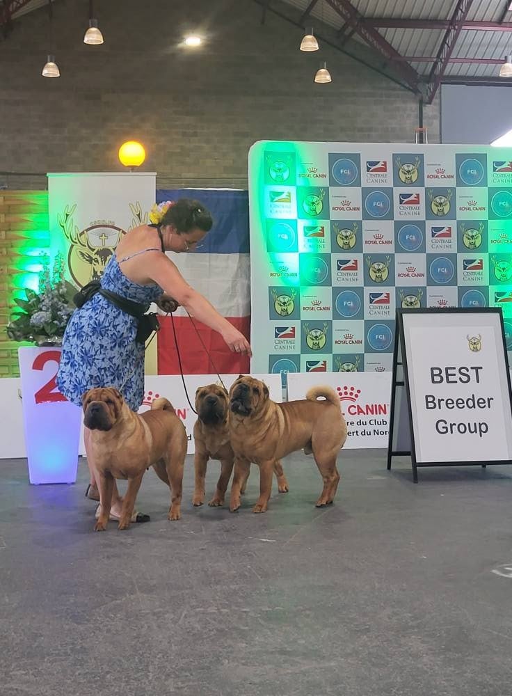 CH. Thor love & thunder du grain de beauté - CCM : CACIB - Meilleur de sexe Opposé -2ème Best In Show Couple - 2ème Lot d'affixe