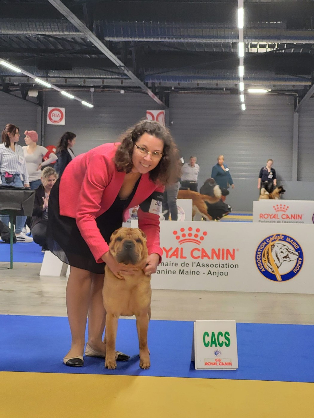 CH. Thor love & thunder du grain de beauté - CIM : 1er Excellent -CACS- Meilleur de Race - Best In Show Couple