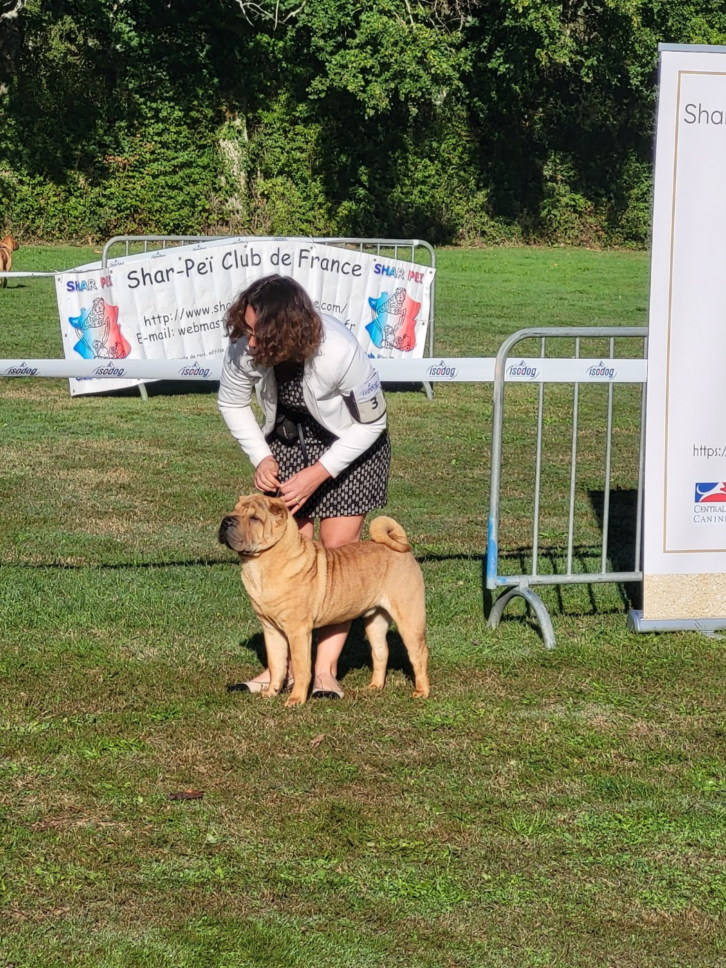 CH. Thor love & thunder du grain de beauté - CPM : 3ème Très Prometteur