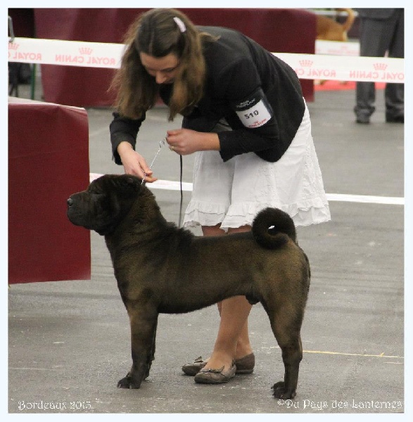 Face silver black du grain de beauté - COM : 2ème Excellent