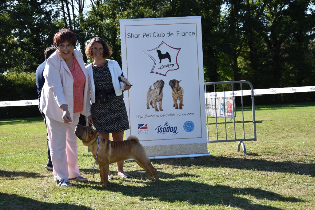 CH. Ti amo du grain de beauté - CPF : 1ère Très Prometteur - Best Puppy