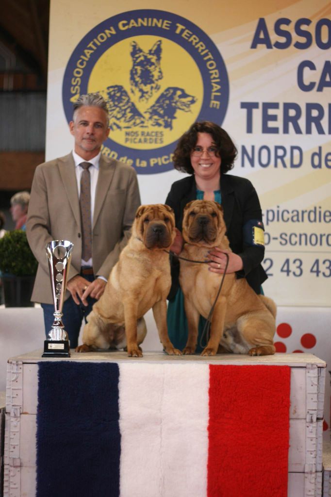 CH. Ti amo du grain de beauté - CJF : 1ère Excellent - BOB Jeune- BOS - BOG Jeune - BIS Couple