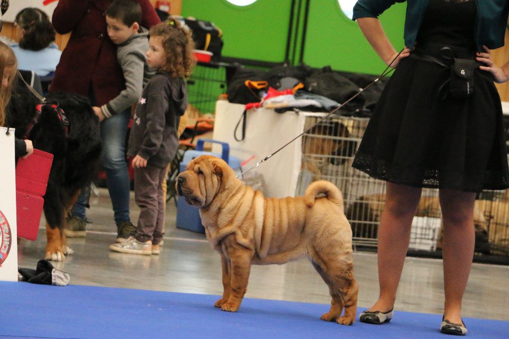 Premier baiser du grain de beauté - CBF : Très Prometteur