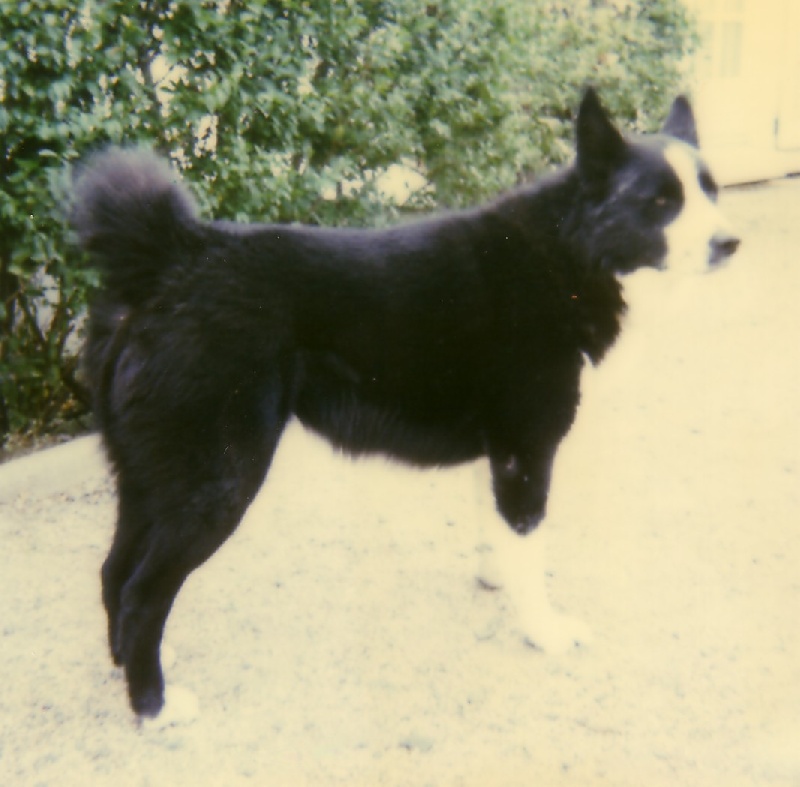 Fjord de la Côte des Lutins