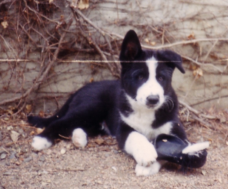Fjord de la Côte des Lutins