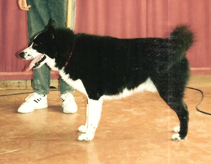 Fjord de la Côte des Lutins