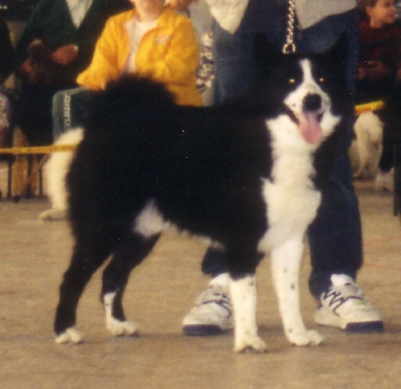 Fjord de la Côte des Lutins