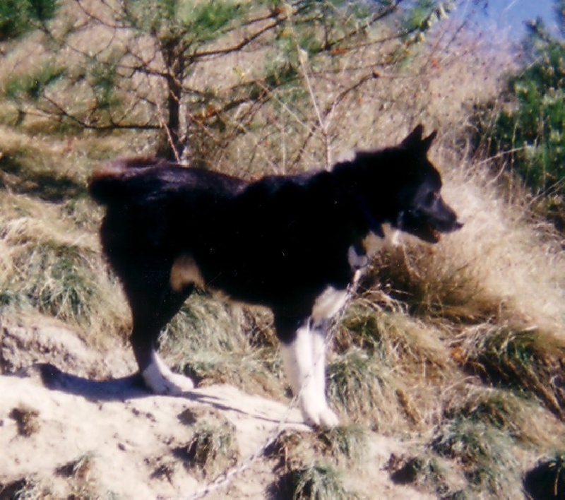 Fjord de la Côte des Lutins