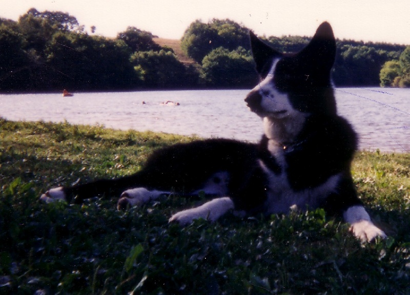 Freki de la Côte des Lutins