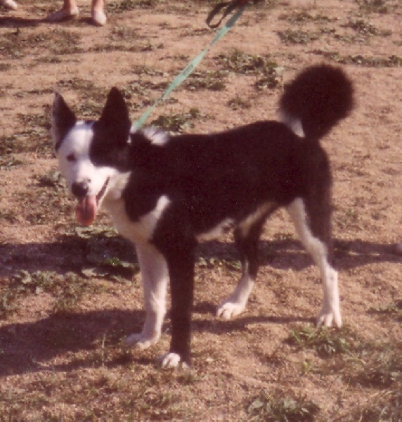 Féroé de la Côte des Lutins