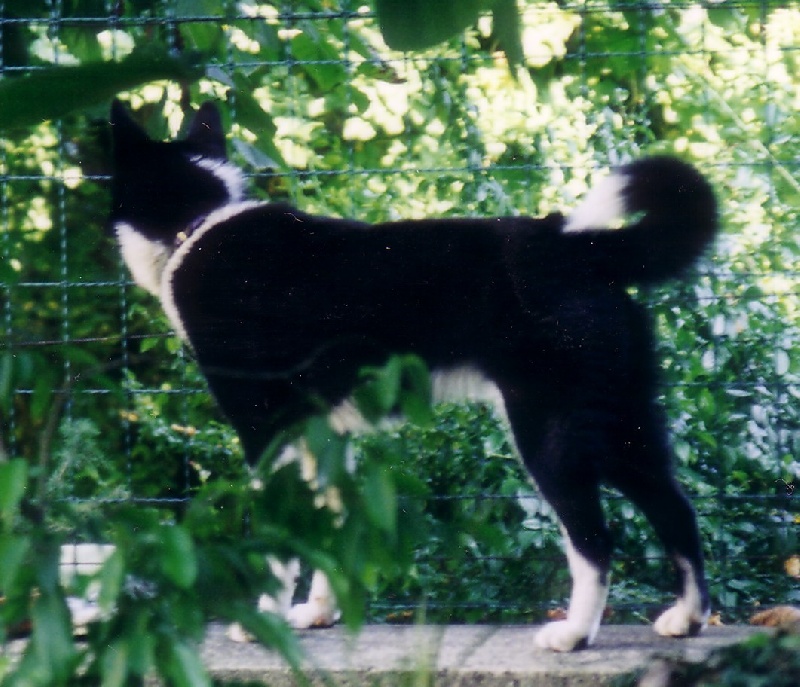 Naomi de la Côte des Lutins